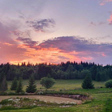 Harghita Log Houses Ivó Kültér fotó