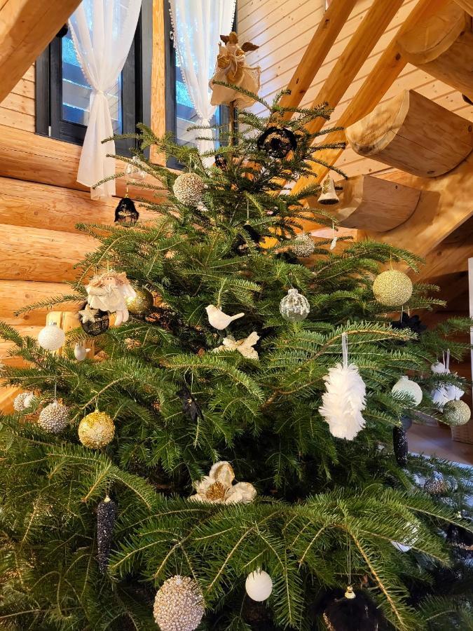 Harghita Log Houses Ivó Kültér fotó